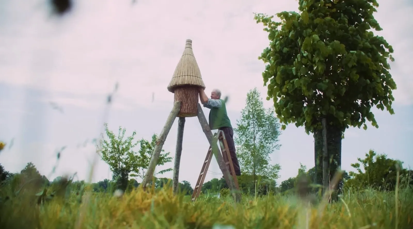 Handcrafted log hive in a meadow