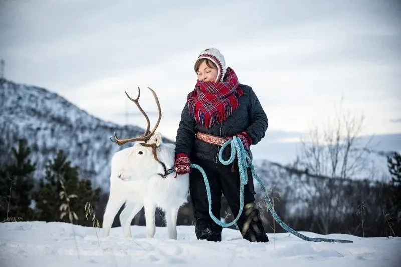 Reindeer as relative, teacher, and provider