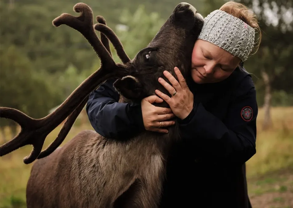 Máret Rávdná Buljo with reindeer