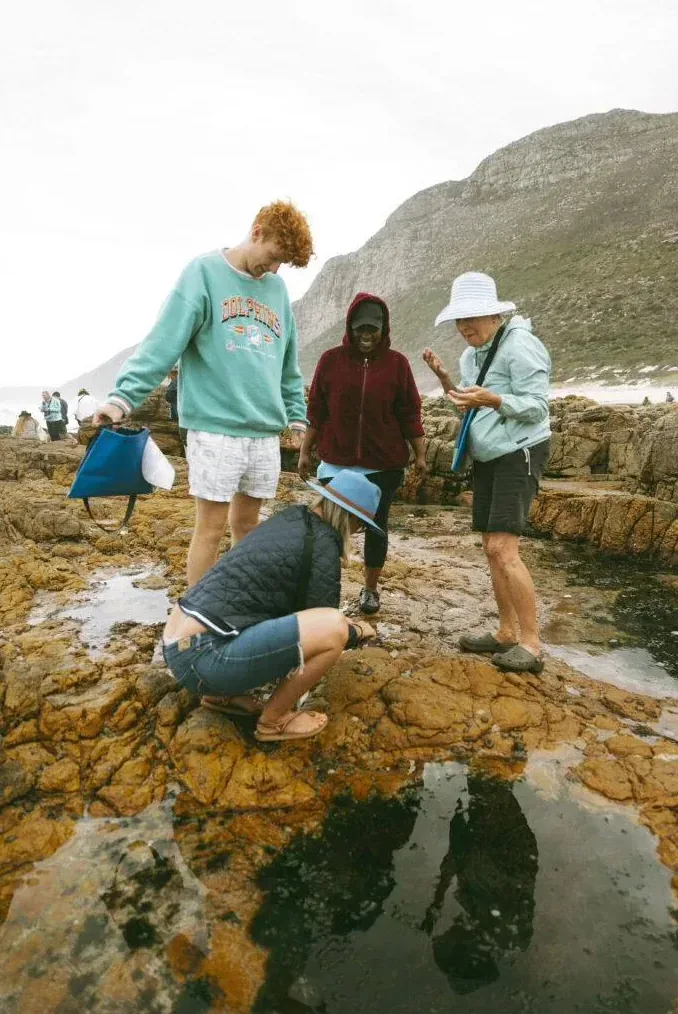 Students examining rockpools during a foraging class