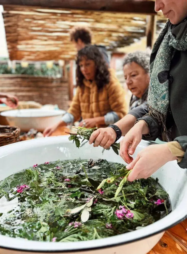The team preparing foraged ingredients together