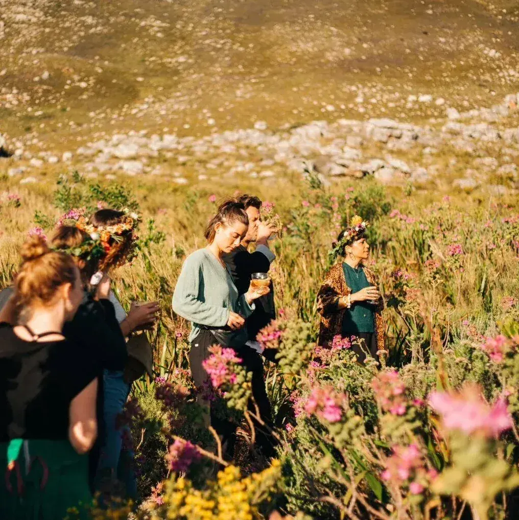 Foraged flowers and botanicals